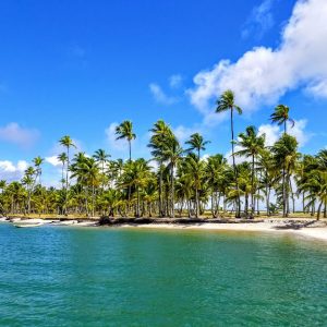 Transfer semi-privativo - Salvador x Boipeba - Via Conexão Itaparica - 2 pessoas